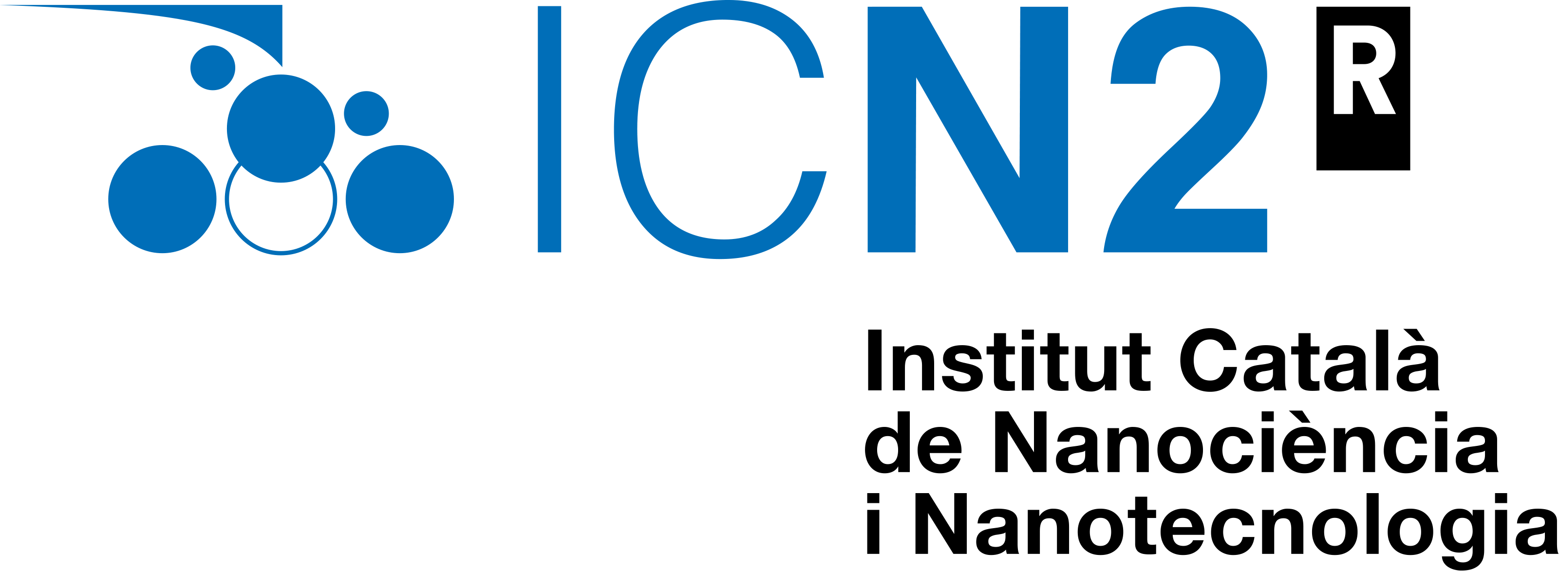 ICN2 logo