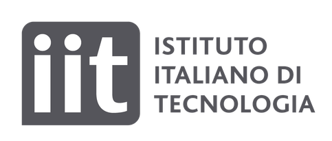 IIT logo