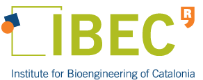 IBEC logo